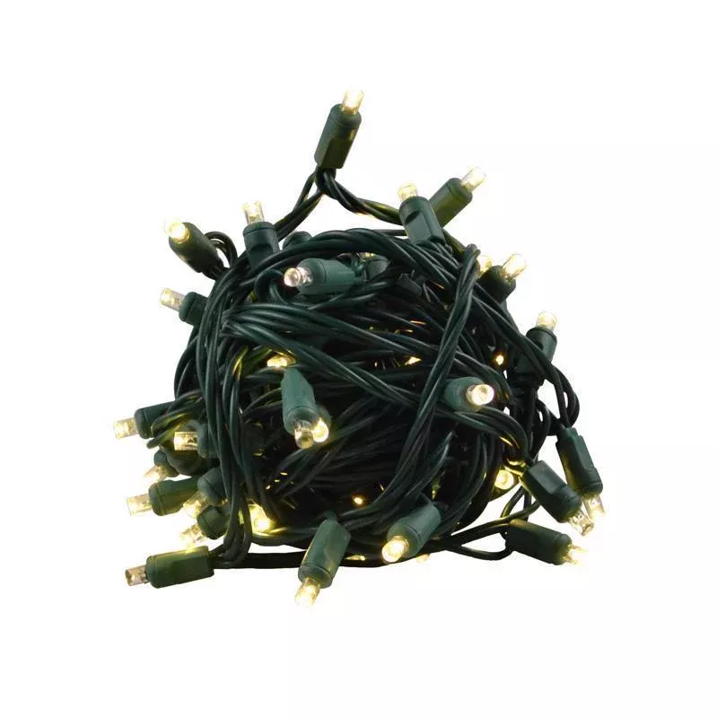 Celebrations LED Grand Mini Warm White 50 ct String Christmas Lights