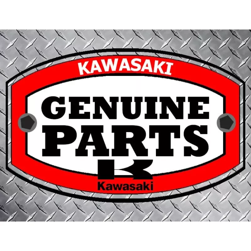 Kawasaki Motor Corp. USA Genuine Part 490192051 FILTER-FUEL